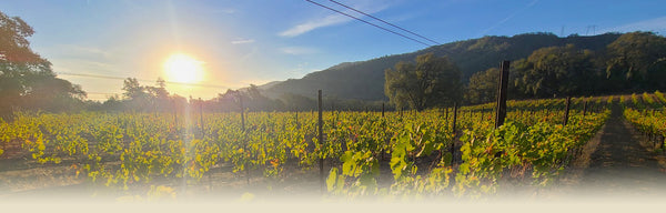 JasonStephens.Wines
